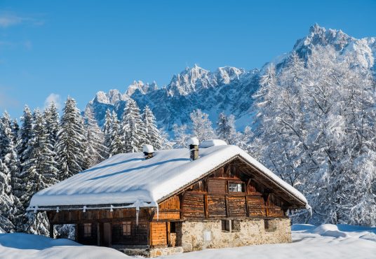 chalet 5 leforestier